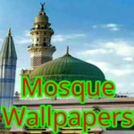 Logo of Famous Mosque Wallpapers Free Pics download android Application 