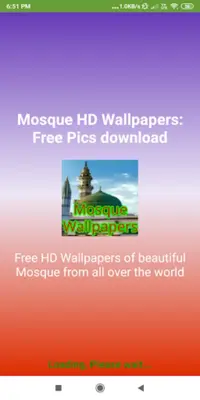 Famous Mosque Wallpapers Free Pics download android App screenshot 0